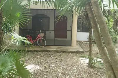 Image de Studio confortable dans la jungle!