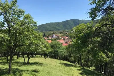 Image de Maison familiale rurale, récemment rénovée, située dans un authentique village roumain