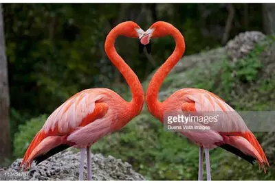 Image de Vacances au paradis