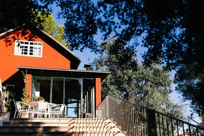 Image de Cottage romantique et confortable au milieu des pins