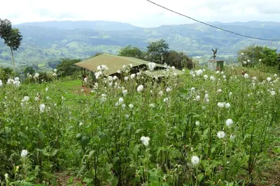 Image de Chalet au milieu de la forĂŞt
