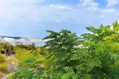 Image de Appartements Sime (76691-A2) - Lopar - île de Rab