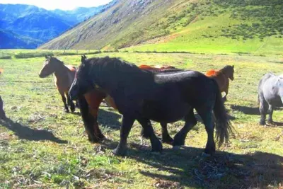 Image de Appartements Valdecarzana pour 2 personnes