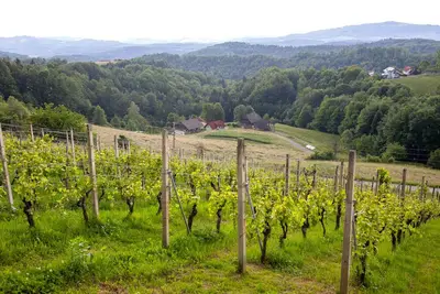 Image de Appartement à la ferme Vesel, expérience locale