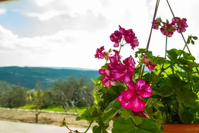 Image de Cottage Erigone - belle ambiance