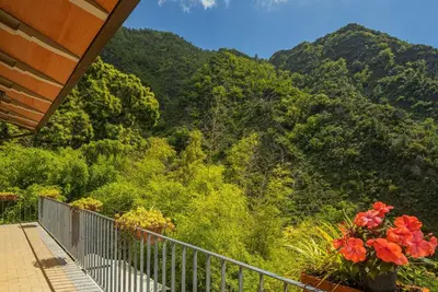 Image de Merveilleuse maison de vacances privée pour 4 personnes avec Tv, terrasse et animaux admis