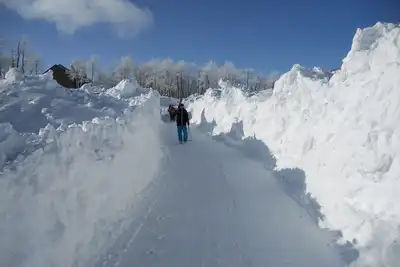 Image de Ski-N / Out à Powder Mountain