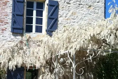 Image de Maison ancienne dans un écrin de verdure sur la route de St Cirq lapopie