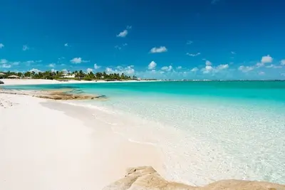 Image de 30 secondes à la plage de Grace Bay! 5 + 1br, piscine privée, jardins luxuriants, 15 personnes