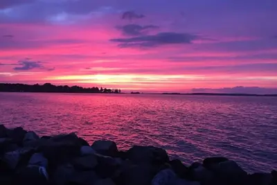 Image de The Yellow Victorian in Historic Cambridge – Walk to Everything!