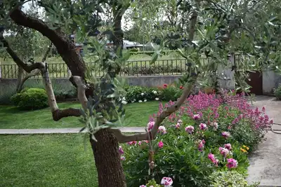 Image de Apartments Mactra