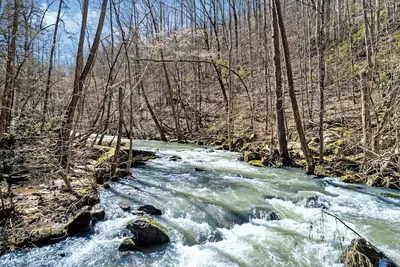 Image de (Nouvelle inscription) Awesome River Cabin, billets d'attraction gratuits,