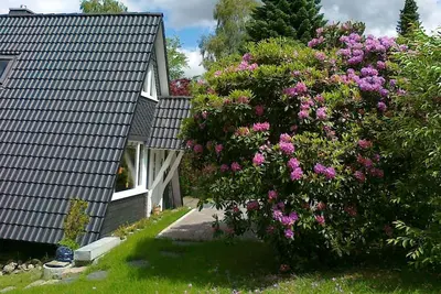 Image de Maison n ° 11, 72m², 1 chambre, max. 4 personnes +1 enfant