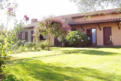 Image de Montecasciano - Mimosa