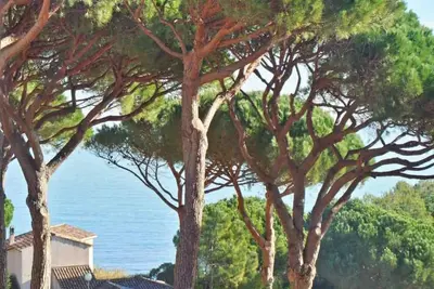 Image de Pierre et Vacances n° 14 Appartement