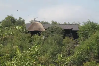 Image de Leopard Rock Bush Lodge en Afrique. Réservez dès aujourd'hui pour votre expérience Big 5.