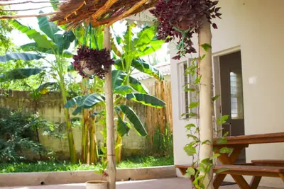 Image de Appartement vue jardin