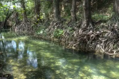 Image de Retraite et hébergement à Indian Falls