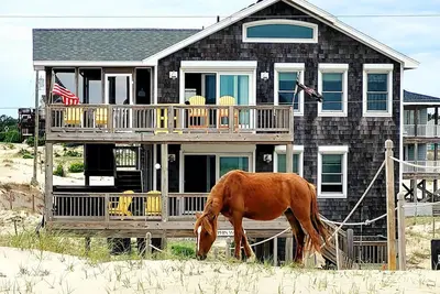 Image de 4x1662, Dolphin Watch / Oceanfront / 4 chambres / 2 salles de bain complètes