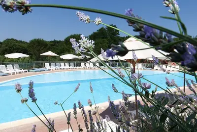 Image de Confortable appartement dans une maison de vacances avec piscine, terrasse, animaux admis et parking