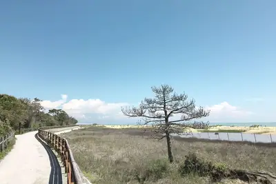 Image de Joli appartement pour 6 personnes avec climatisation, Tv, balcon et animaux admis