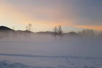 Image de Appartement Niederleger