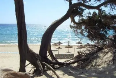 Image de Villa Bea app. In Grande Chia you can walk to the \"Dune Campana\" beach.