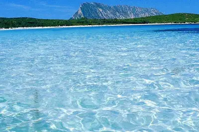 Villa À 100 MÈTRES De La Plage Porto Taverna Vue Mer