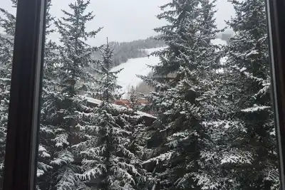 Image de Résidence St Regis 3 chambres au dernier étage - Meilleure vue sur la montagne Aspen