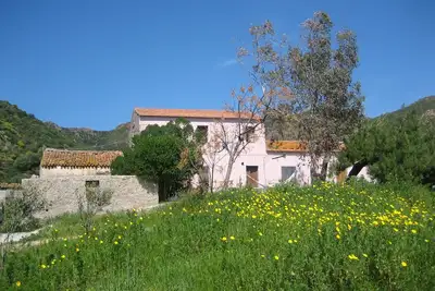 Image de Traditionnelle sarde ferme, terrasse, jardin, près de la mer et de la plage