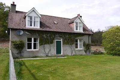 Image de Wisdomhowe est un chalet traditionnel, entouré d'une forêt de bouleaux.