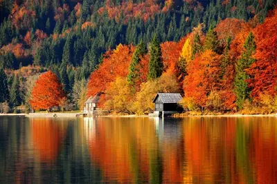 Image de Privet Water Front Home sur Sunshine Lake, Privet Beach, navigation de plaisance et natation