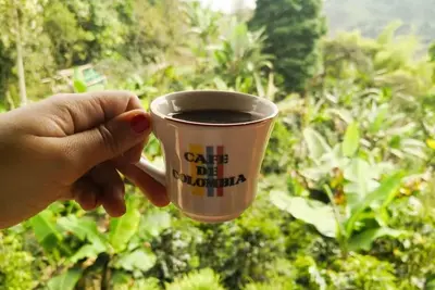 Image de Appartement Guaduales del Café-Tourist