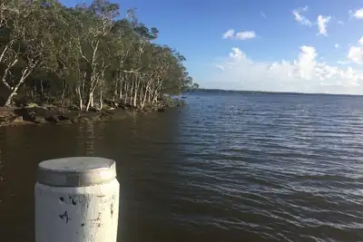 Image de Retraite de la forêt tropicale du ruisseau Beechs