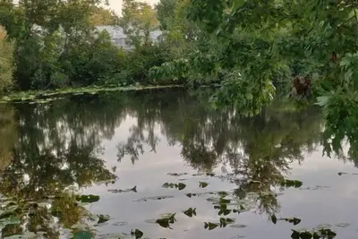 Image de Incroyable 2 chambres 2 salles de bains à Orlando