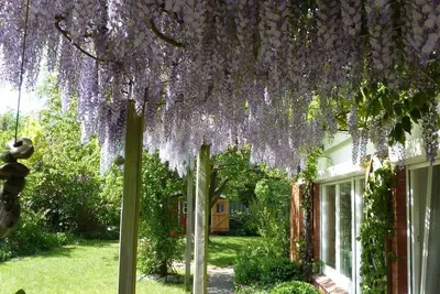Image de Dat Huus à Tuun - appartement / appartement, douche, Wc, 1 chambre