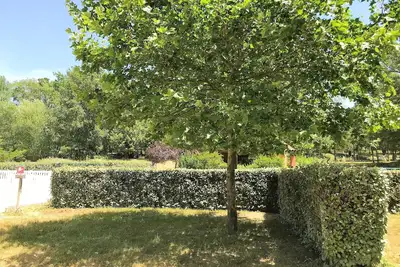 Image de Les Bastides de Chanteraine