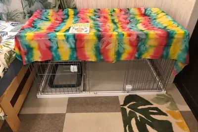 Image de Container house in Kibogaoka Onna village You can also enjoy Bbq and golf practice 2 free parking / Kunigami-gun Okinawa