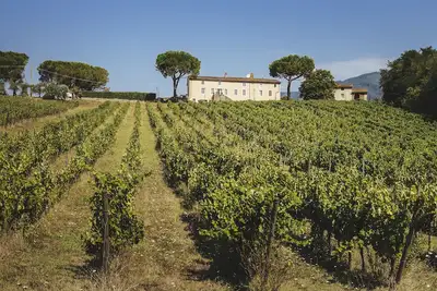 Image de Antique ferme sur les collines de Lucca