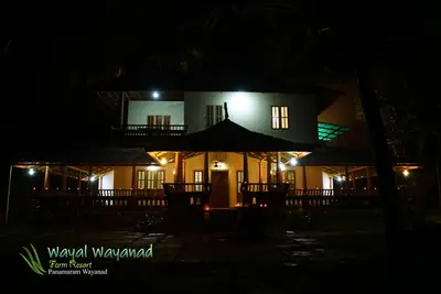 Image de All 3 Family Villas Amidst green