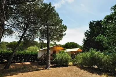 Image de Cabane Lodge Standard sur pilotis 34m² - 2 chambres - terrasse couverte de 10m² 4 personnes