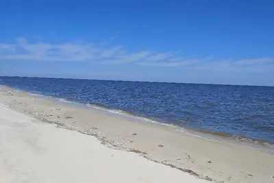Image de Le mérou tacheté - Old Florida Beach Bungalow