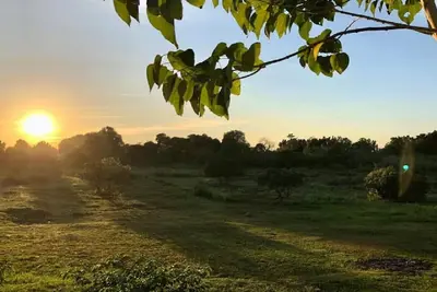 Image de Villa urbaine magnifiquement conçue située entre les trésors de Bolinao