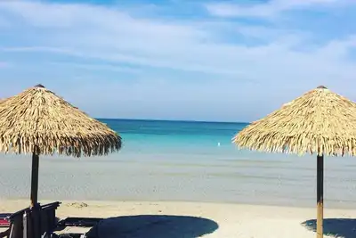 Image de Monolocale e Tropici