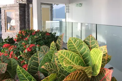 Image de Areia. Architectonic design.