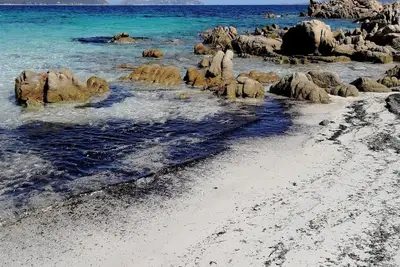 Image de Jardin privé avec vue mer, 2 salles de bain et terrasse. 500 m du bord de mer