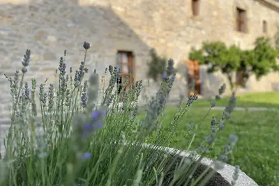 Image de L'ancienne abbaye de 1689 avec terrasse, jardin et barbecue
