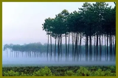 Image de Biscarrosse et ses 3 pôles : Plage, Ville et Lacs
