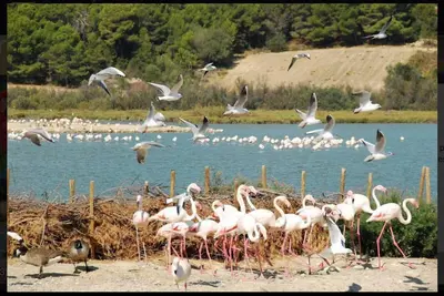 Image de Air-conditioned townhouse, Spa and large terrace 5 minutes from the town center.