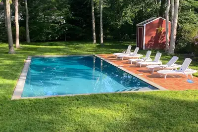 Image de Oasis derrière les haies de troènes